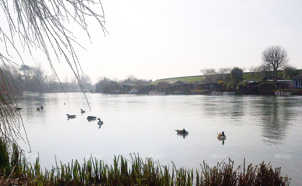 Winter scene on River Thames at Laleham