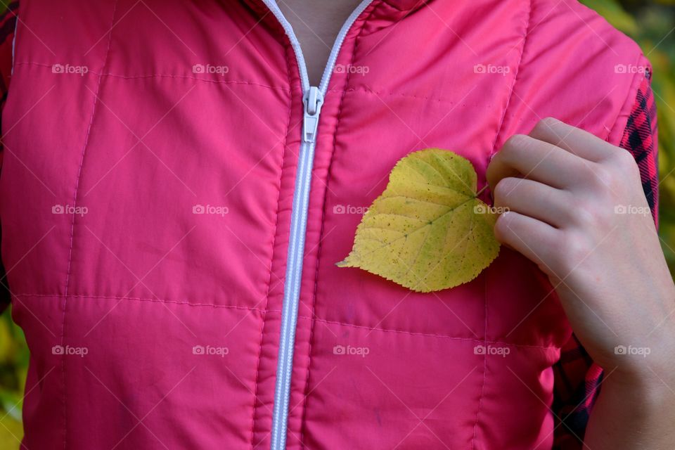 leaf heart