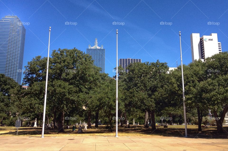 Cemetery and skyscrapers
