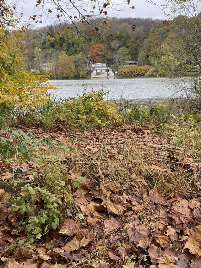 Forgoing the River 