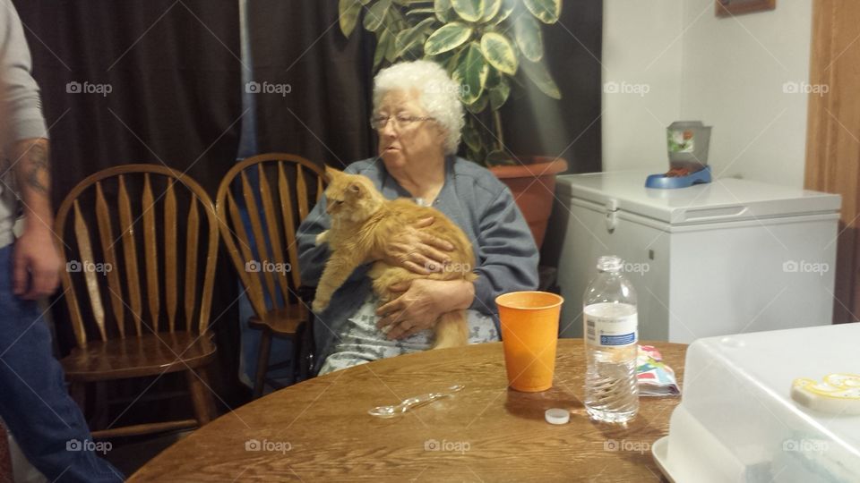 grandma's cat