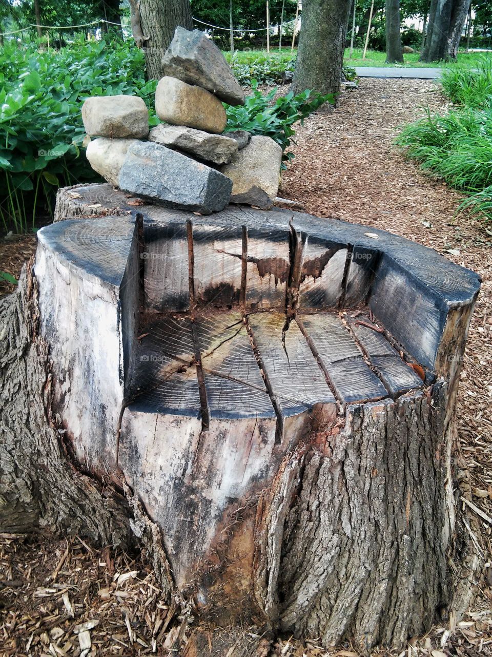 lumberjack's cradle