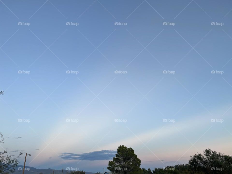 A colorful sunset with multiple trees. 