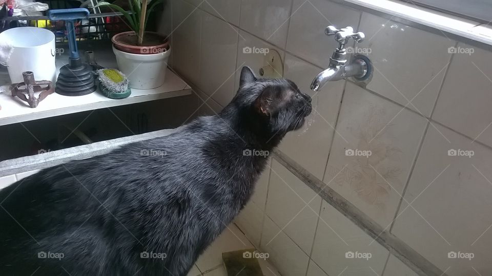 Negão.....lindo....rs