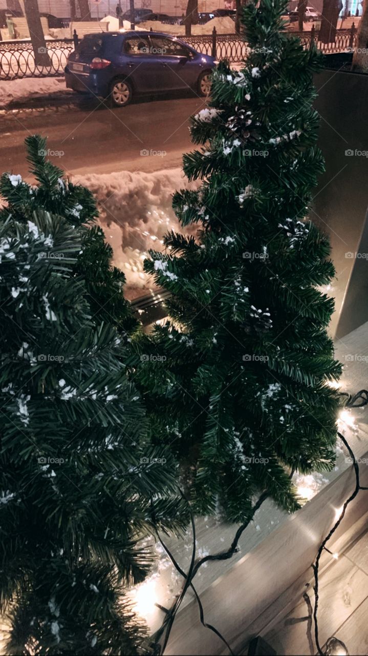 Christmas trees 