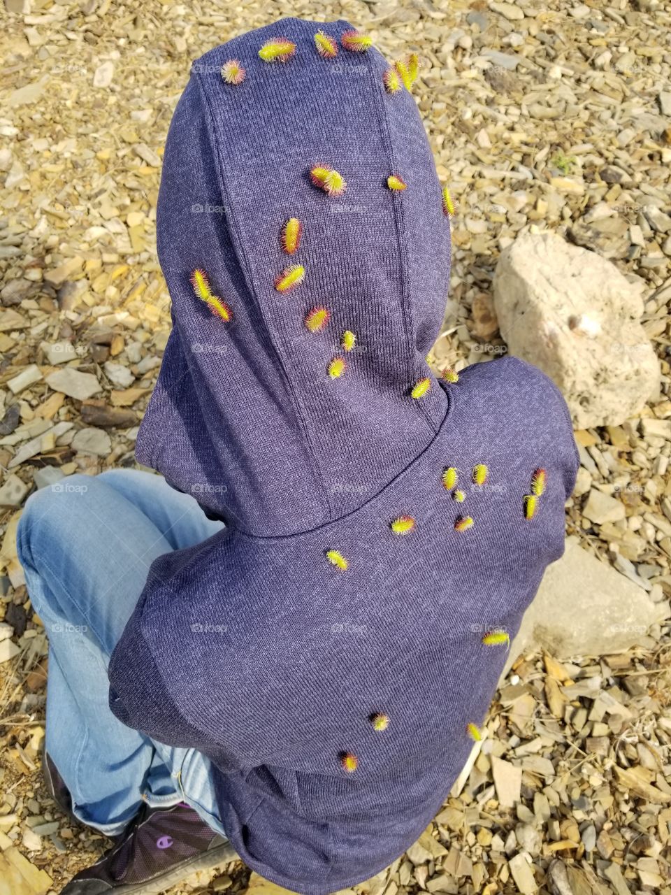 When the pricklies stick