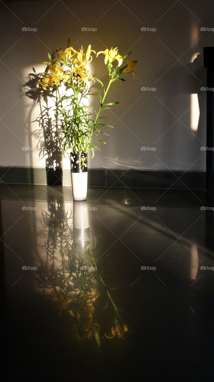 Sunlight, flowers, reflection, shadows - are good combination.