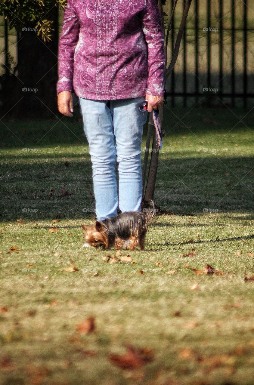 lady walking her tiny dog