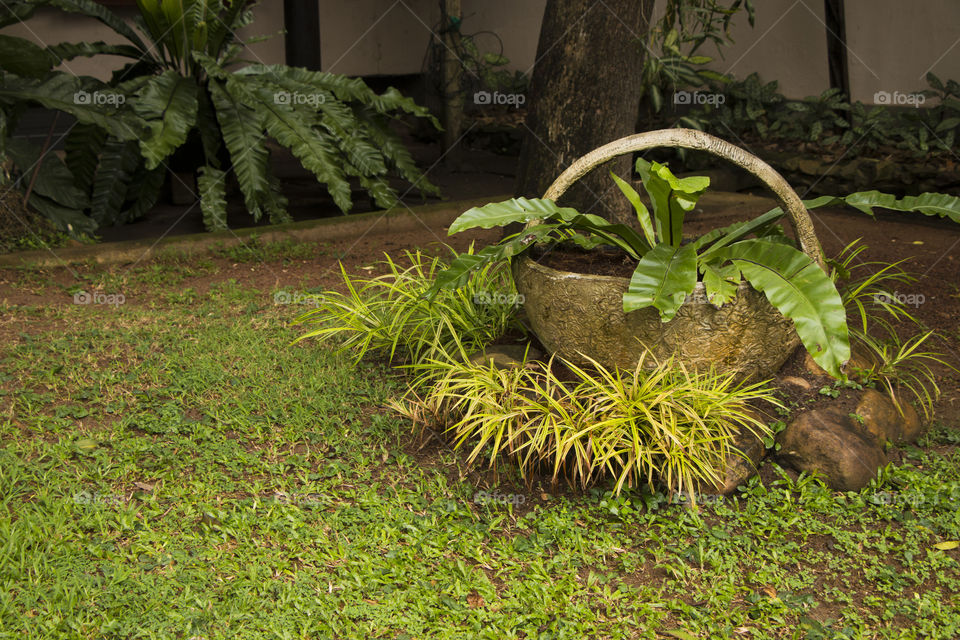 National Zoological Gardens of Sri Lanka