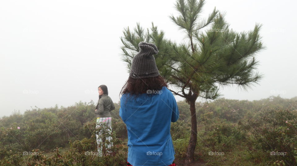 picturial in a foggy hilltop