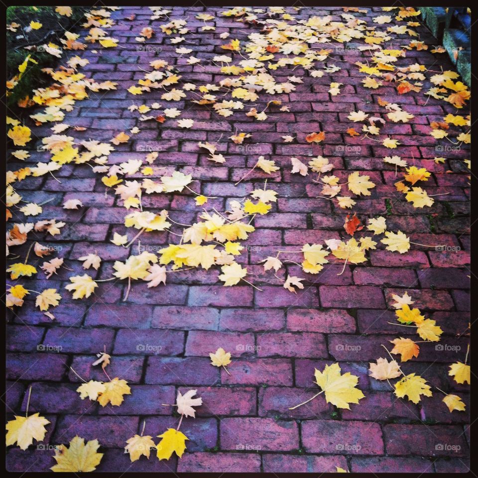 Follow the Autumn Brick Road