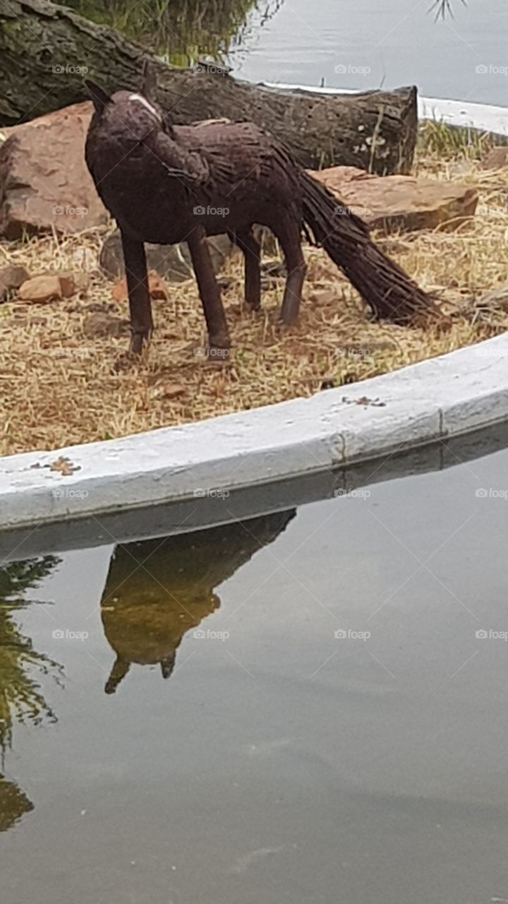 urban water features