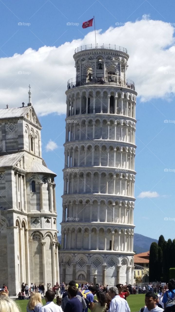 Pisa 