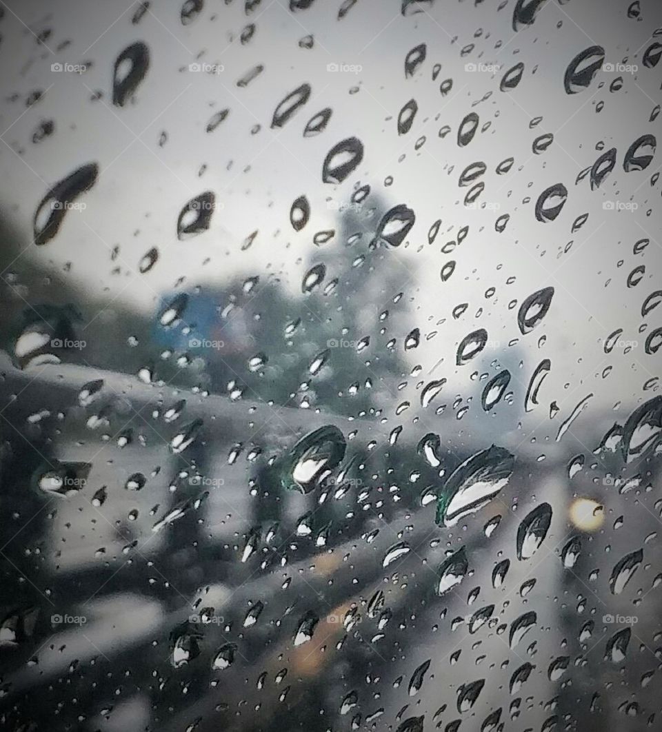 rainy drive