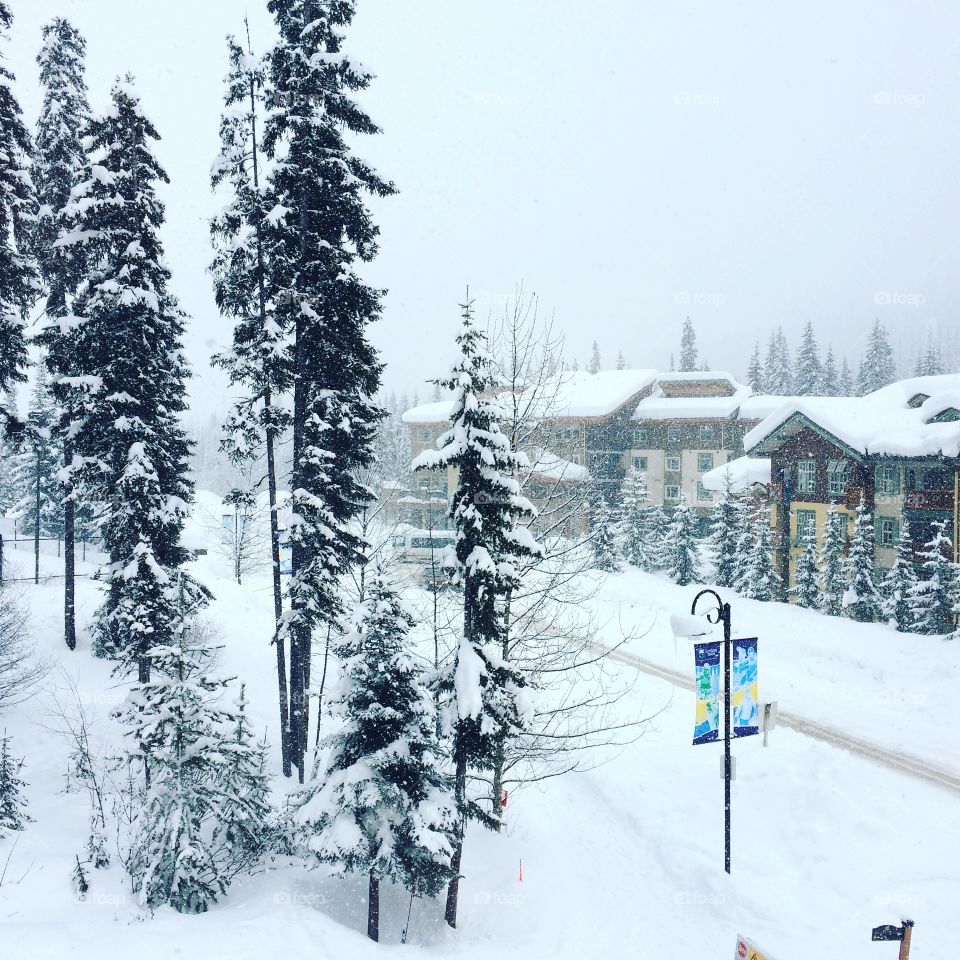 Snowing at sunpeaks resort! 