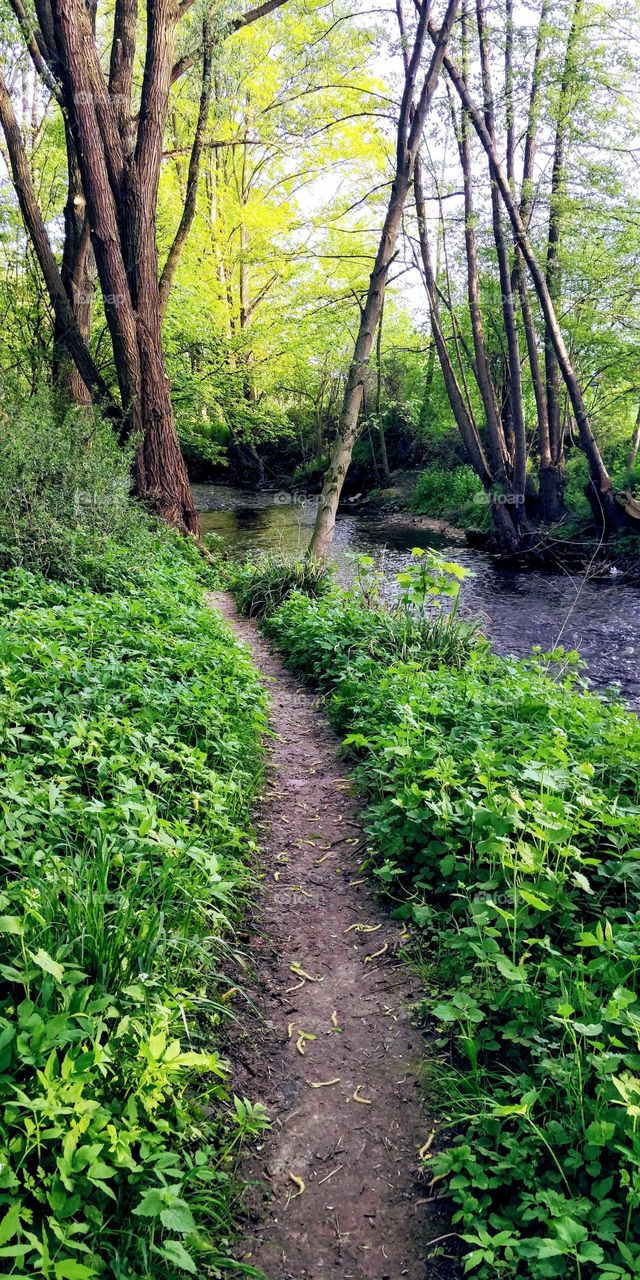 path oh hope,Nieder Eschbach, Germany