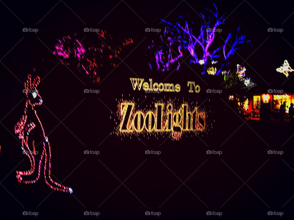 Zoolights