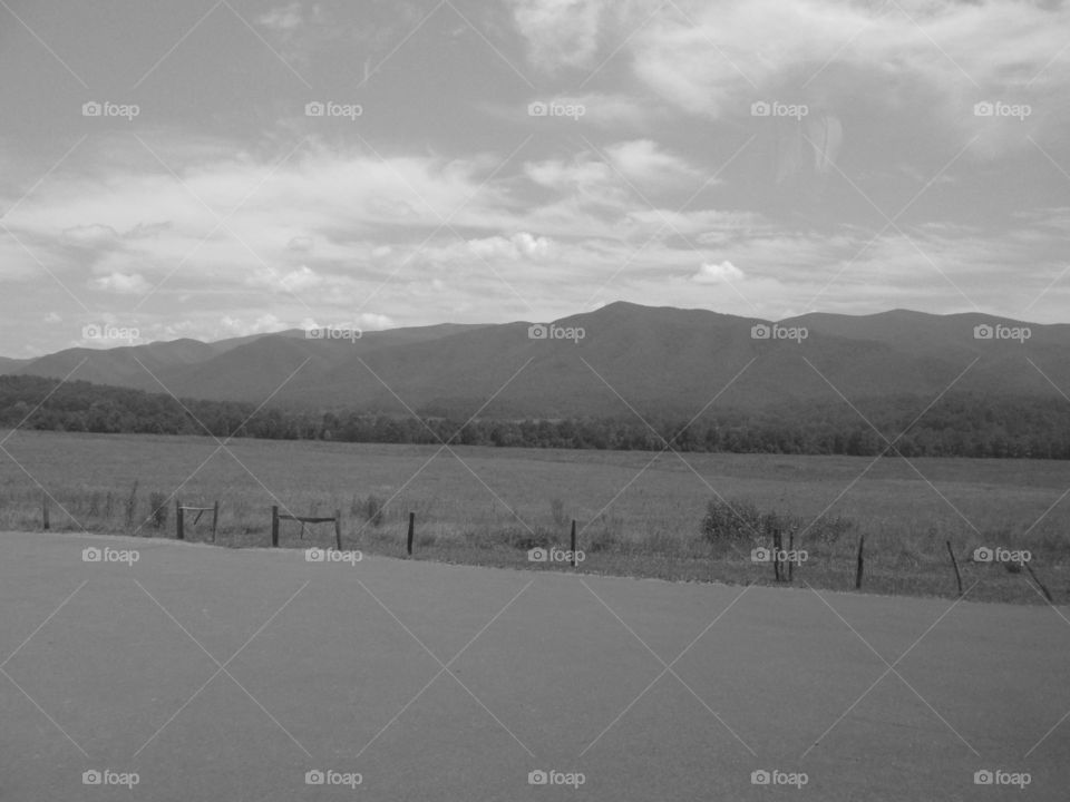 Landscape, No Person, Snow, Desert, Lake