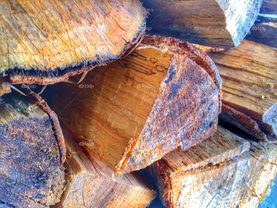 Firewood