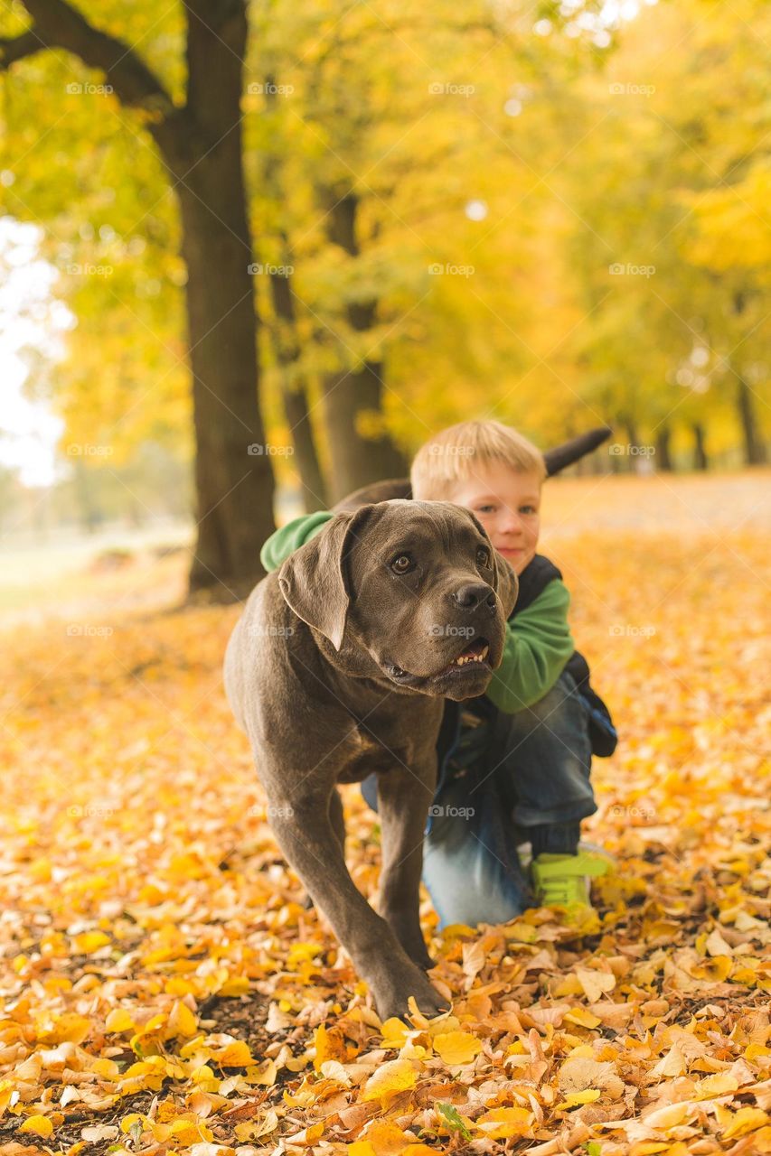 walking the dog down the street, the owner walks the weakling, teaches her, cleans up after her, educates, plays with his pet. people and dogs are best friends