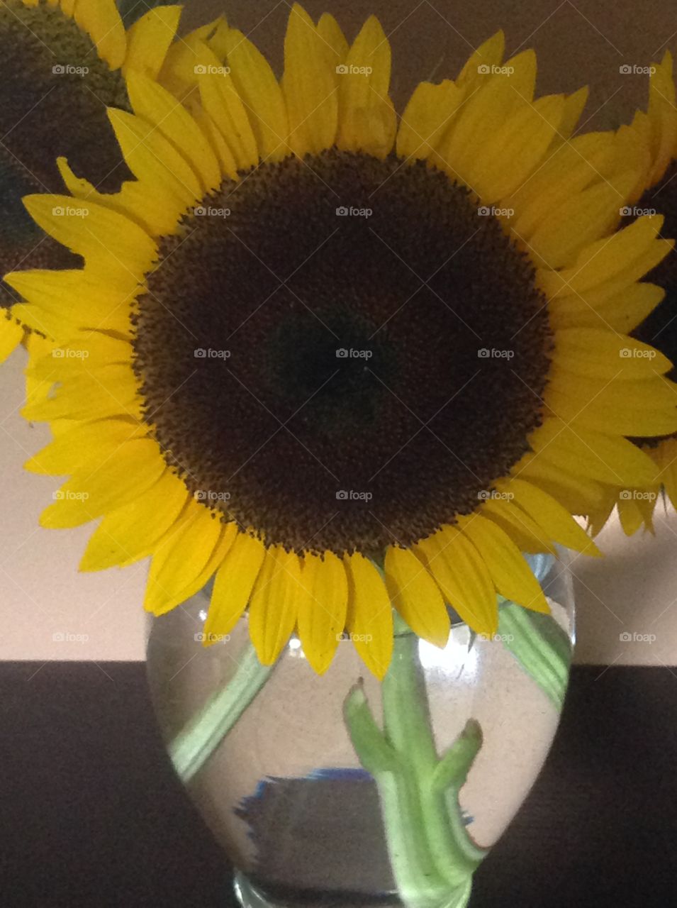 A vase of beautiful sunflowers.