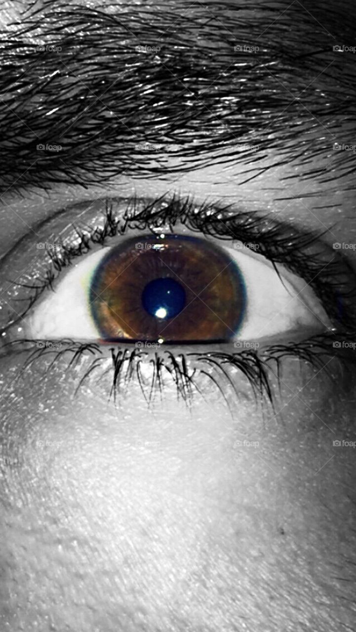Eye 