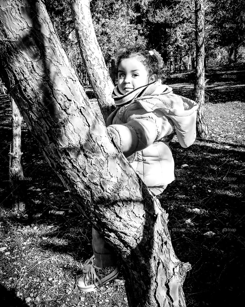 girl on the tree