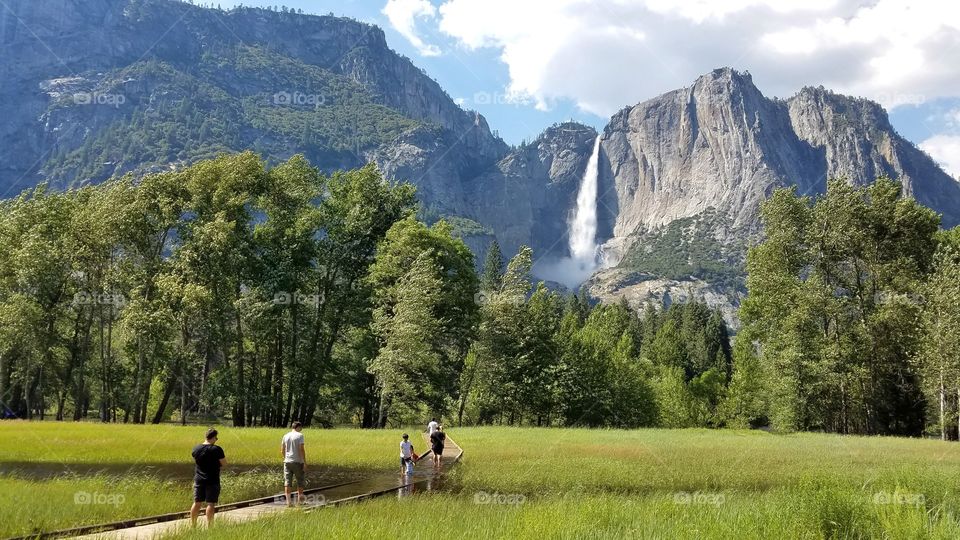 Majestic views of Yosemite National Park