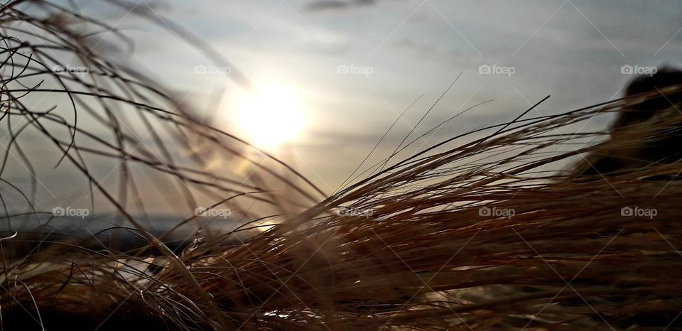 couché de soleil à Berck