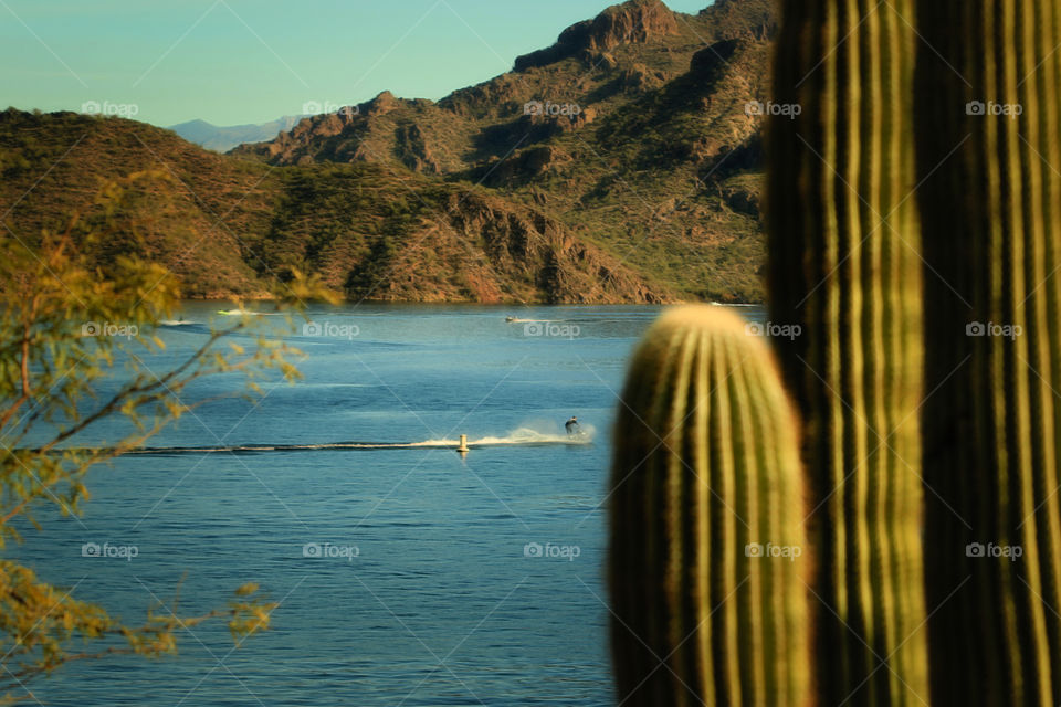 Saguaro Lake