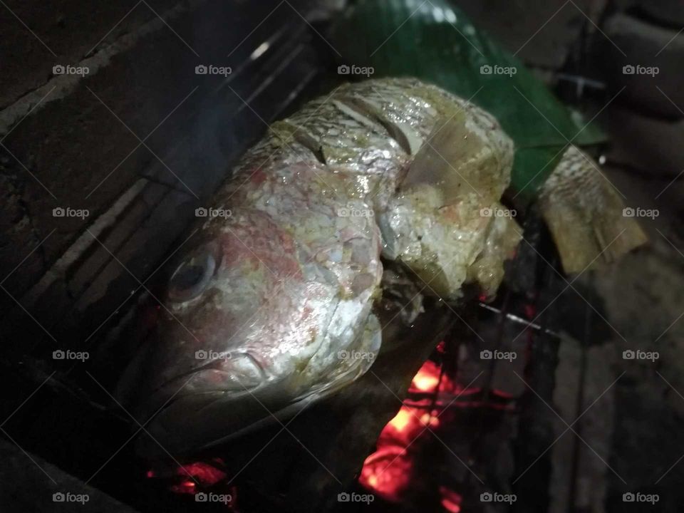 Grilling fish