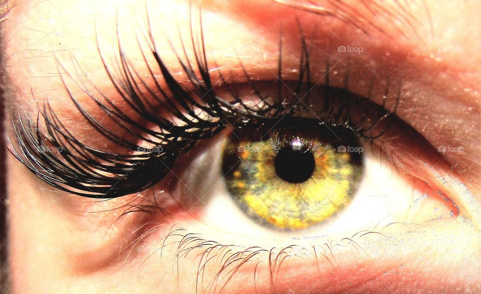 Close-up of make-up on eyelash