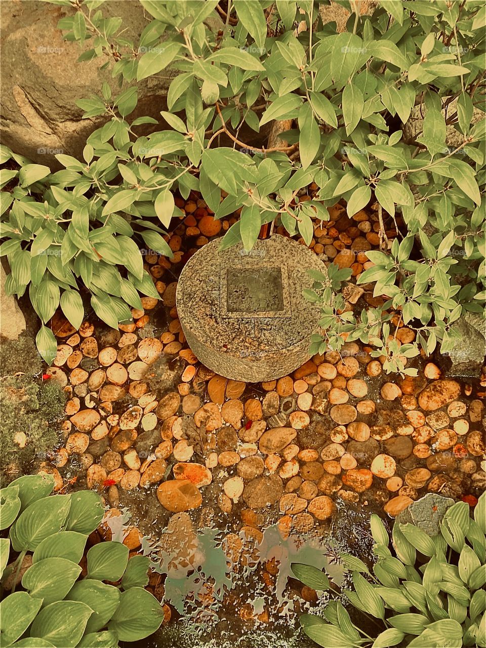 leave no stone unturned in this life.