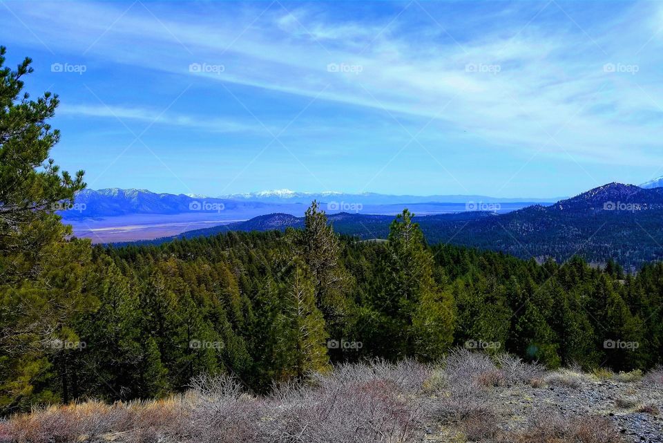 MAMMOTH LAKES|california