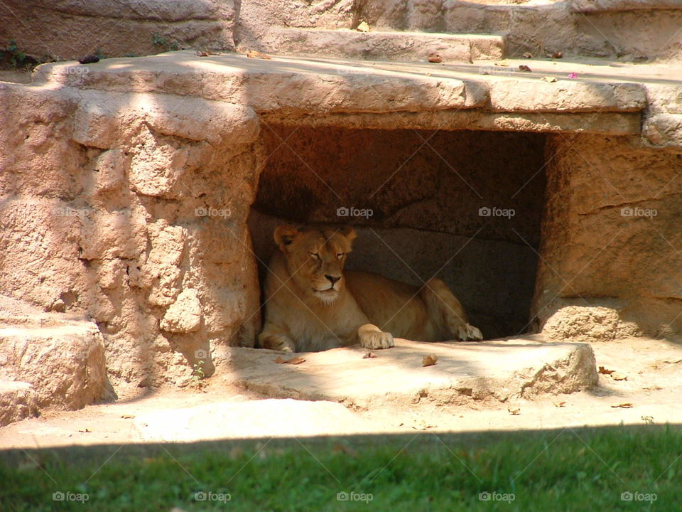 Barcellona zoo