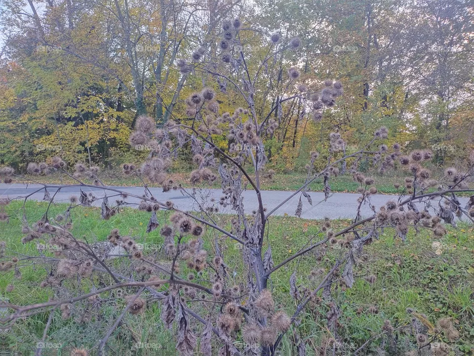 October colors