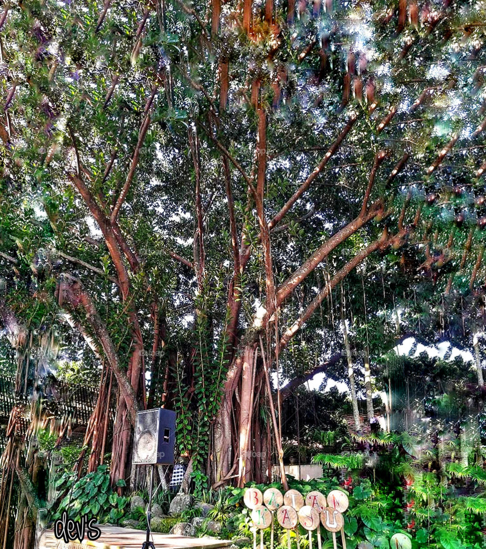 When the last tree is cut down, when the last river is emptied, when the last fish is caught, then man will realize that he cannot eat money
   
-- Eric Weiner ---