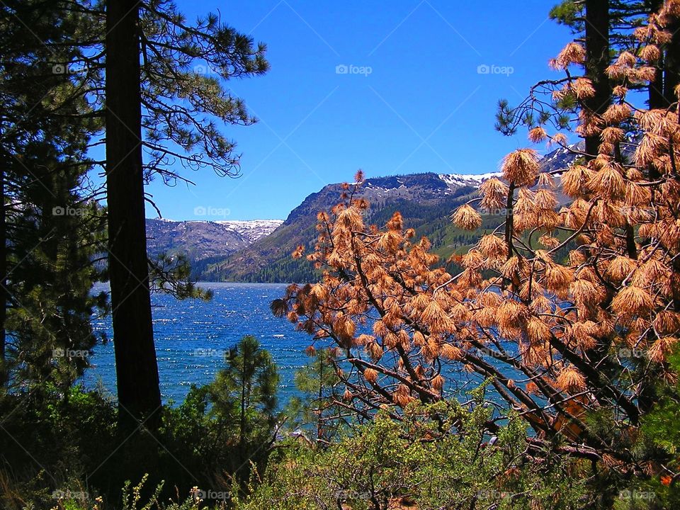 Hike. the things you find 