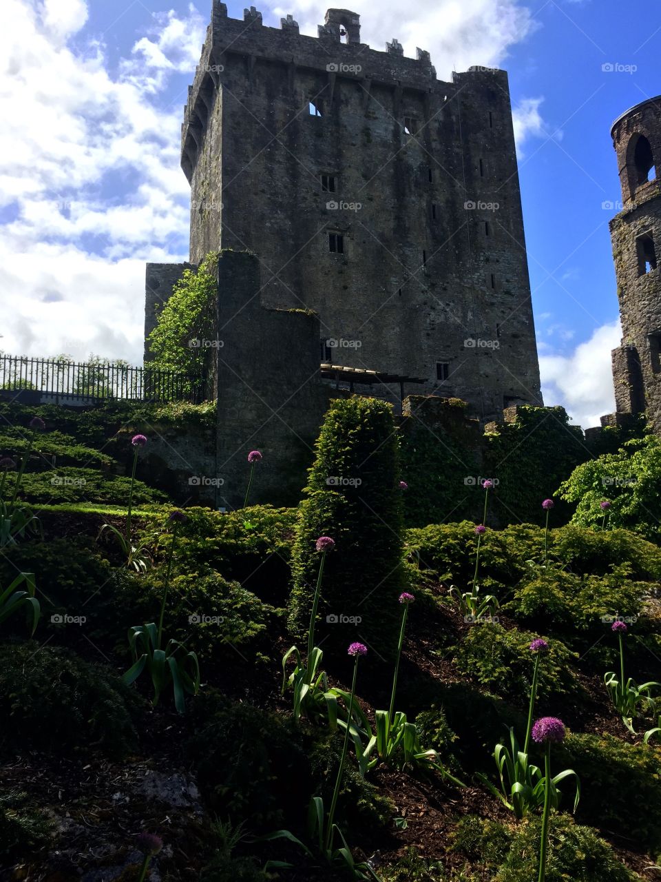 Blarney castle 