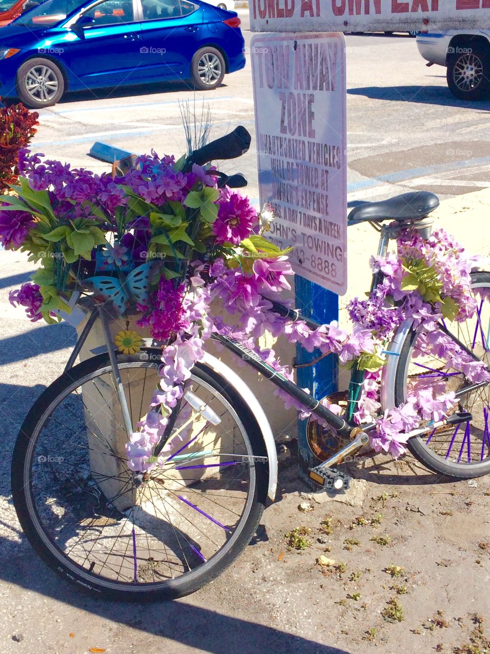 Pink flower bicycle 