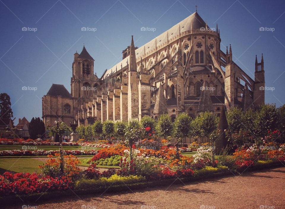 Bourges. Cathedral 