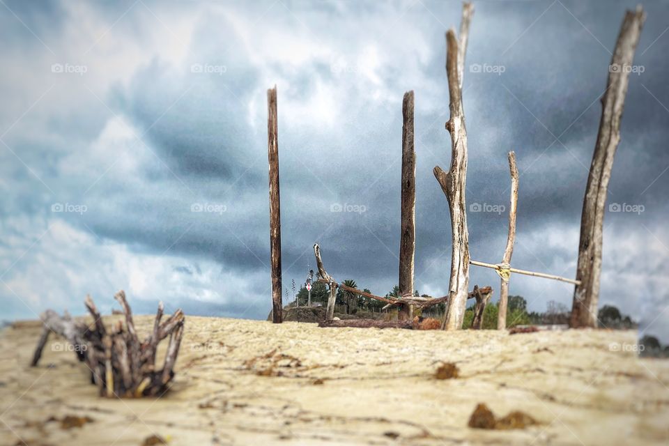 Dramatic Driftwood Architecture 