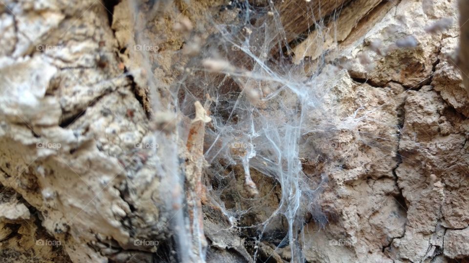 Nature, Desktop, No Person, Texture, Stone