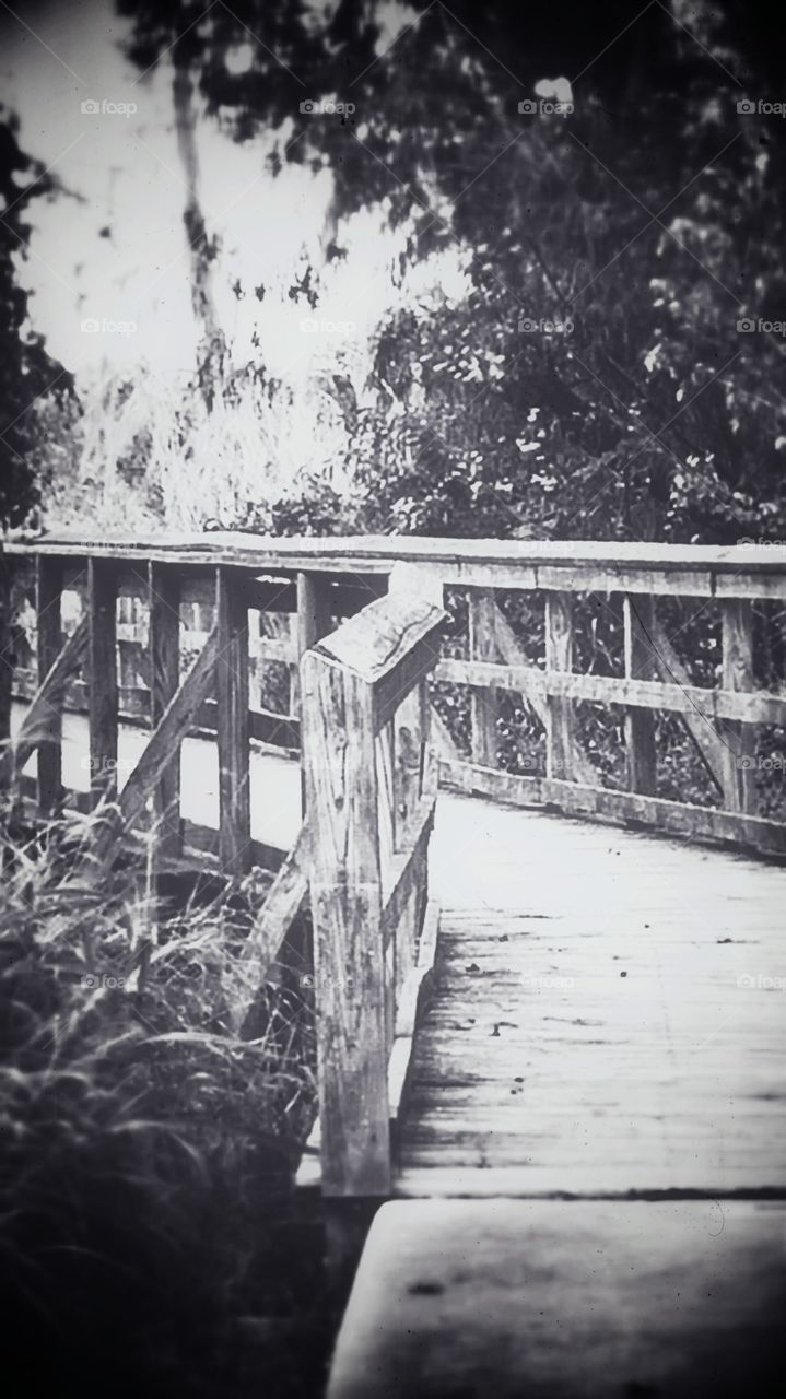 Monochrome, Water, People, Bridge, No Person