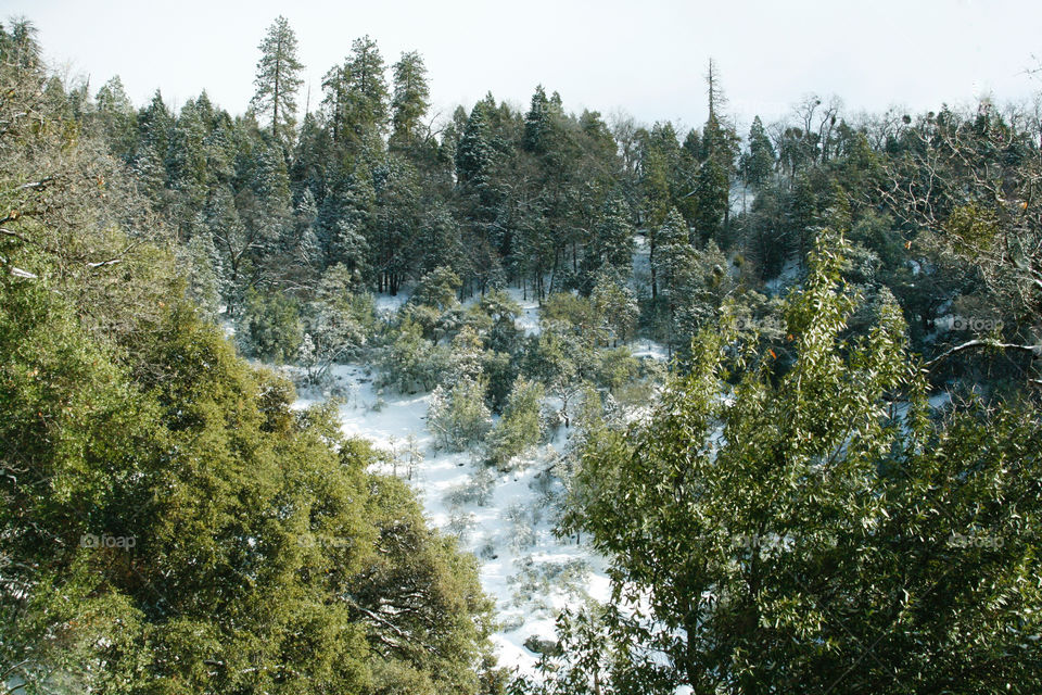 Winter mountain landscape 