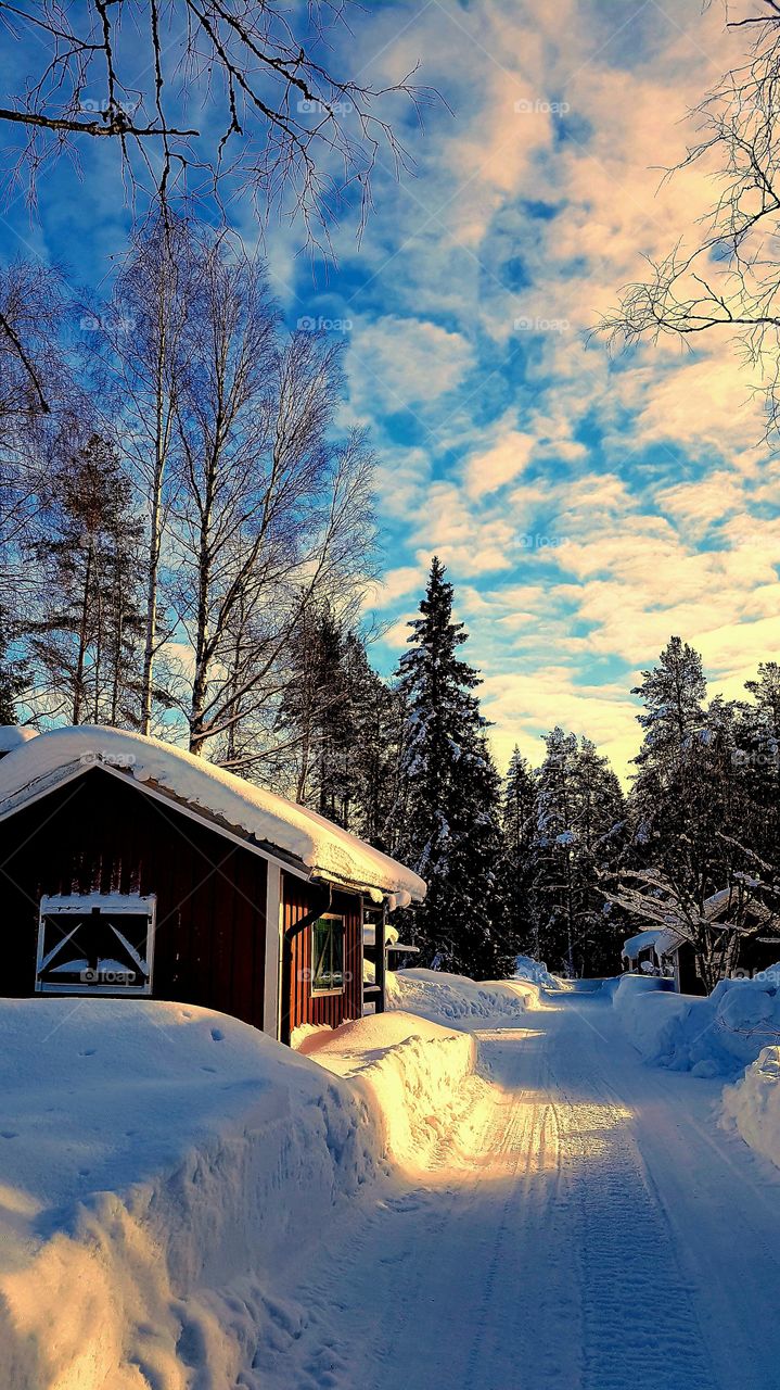 old little cottages in a snowy world
