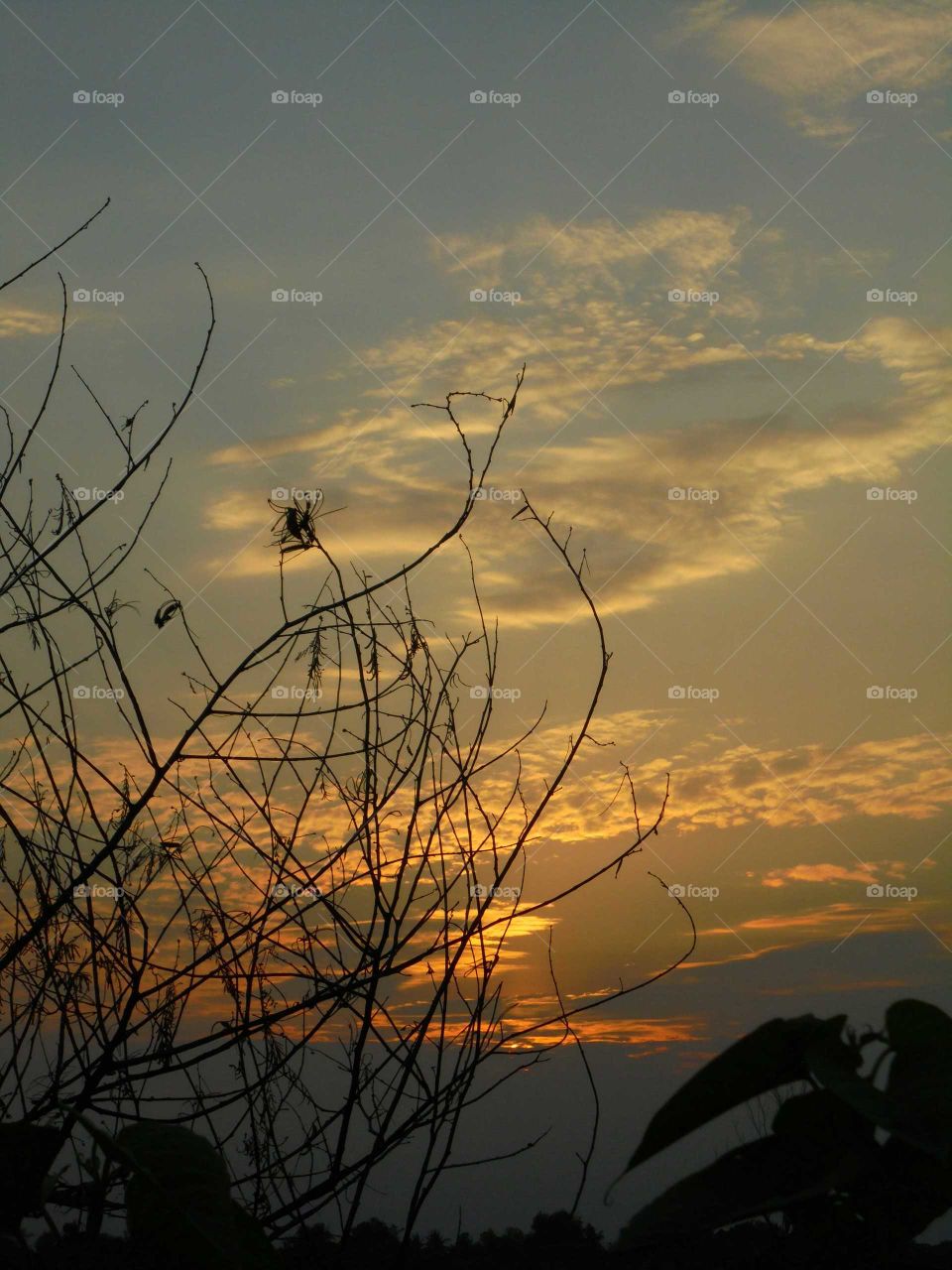 Sunset cloud and sky