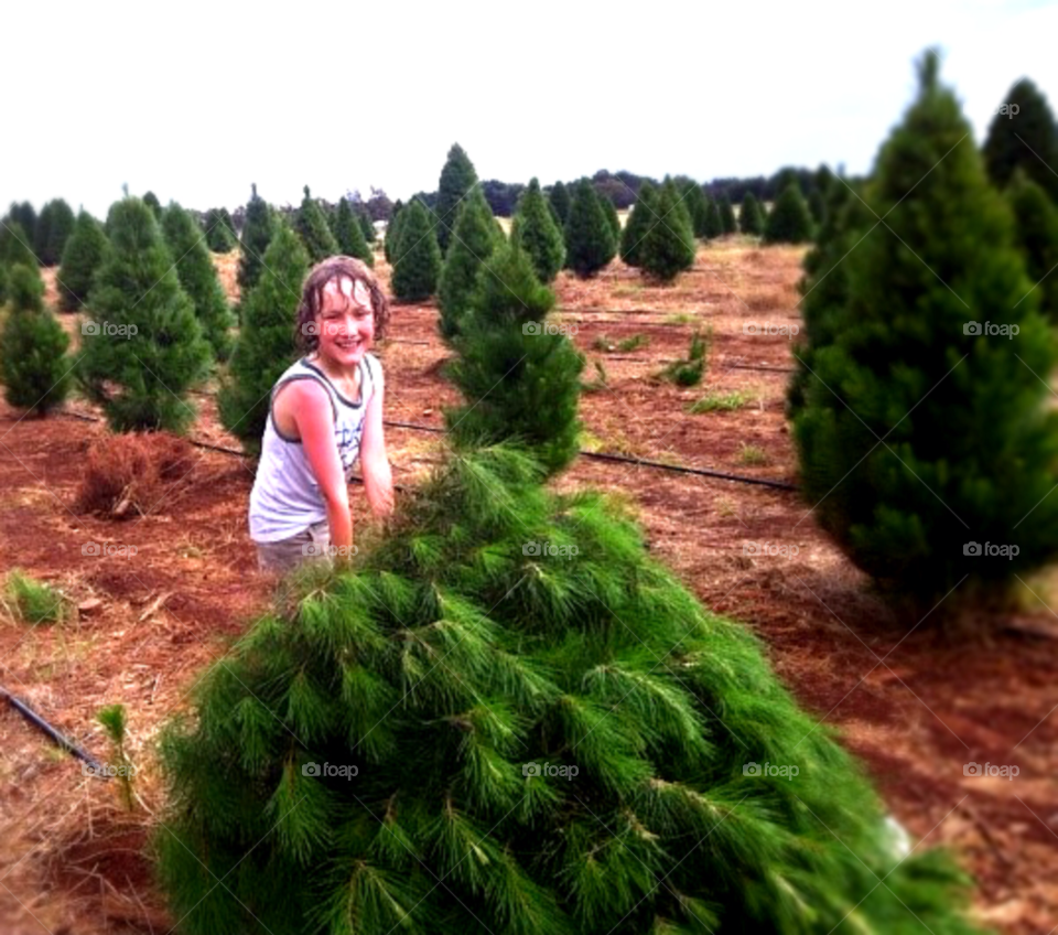 victoria australia christmas kid boy by clandra