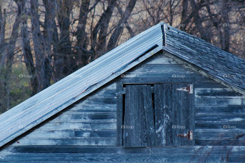 The peak of an antique farm building with corrugated metal roof and a hayloft door with weathered wood and peeling paint against a background of bare trees