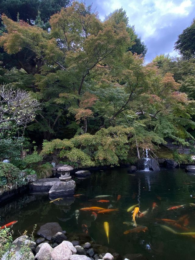 japan